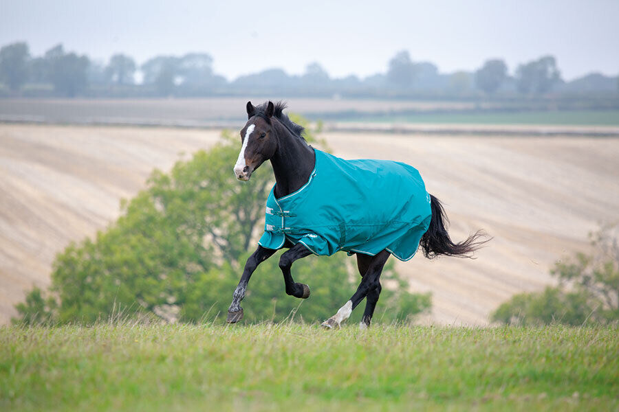 Picture of Shires Tempest Plus 200g Horse Turnout Rug Std Neck 1200d |  Teal | 4'0" - 7'3"