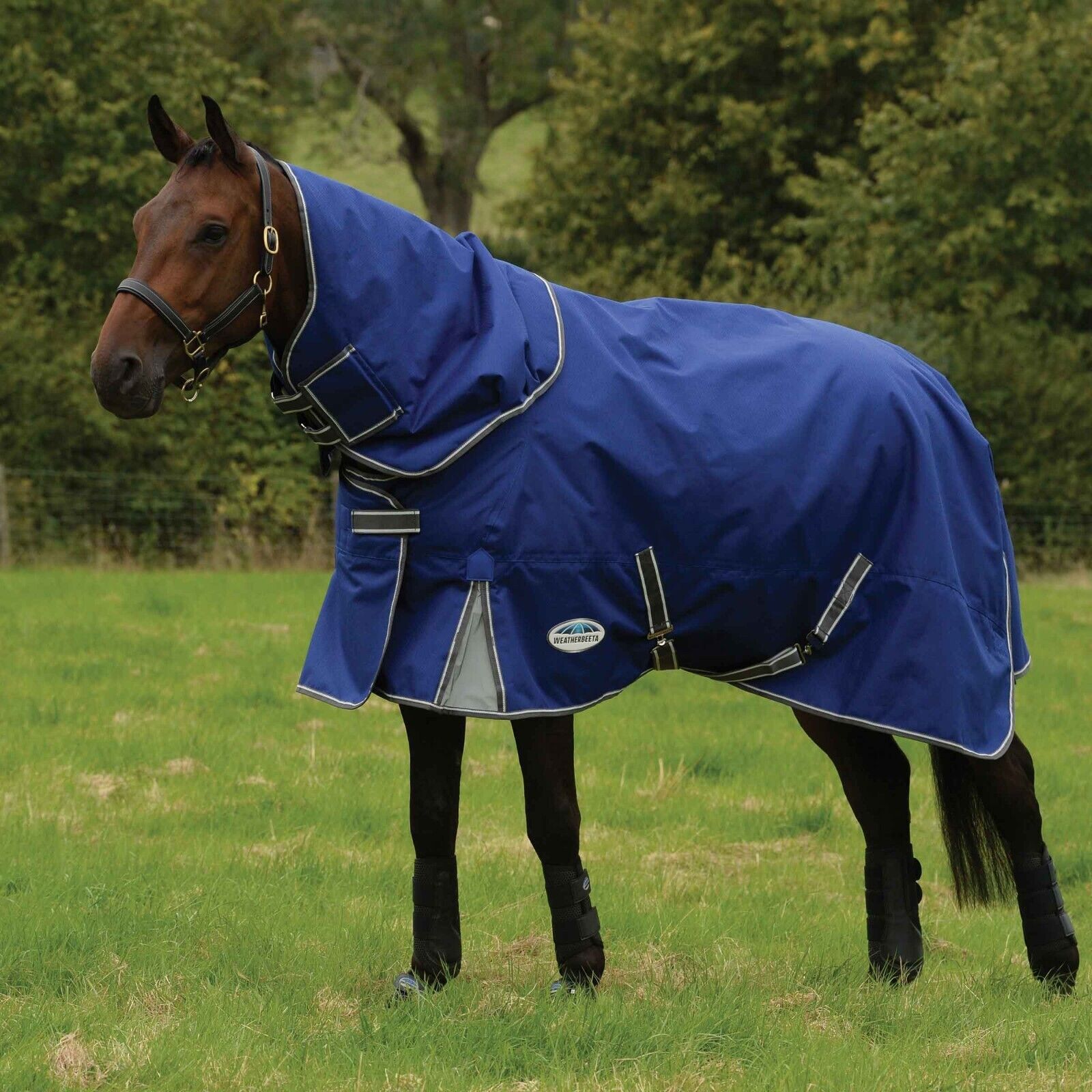 Picture of Weatherbeeta Comfitec Premier Free Ii Turnout Rug, 100g, 1200den, Detach-A-Neck