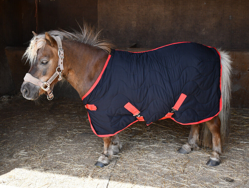Picture of Rhinegold Mini 50g Stable Pony Rug Quilt | Black,   3'6" - 4'3"