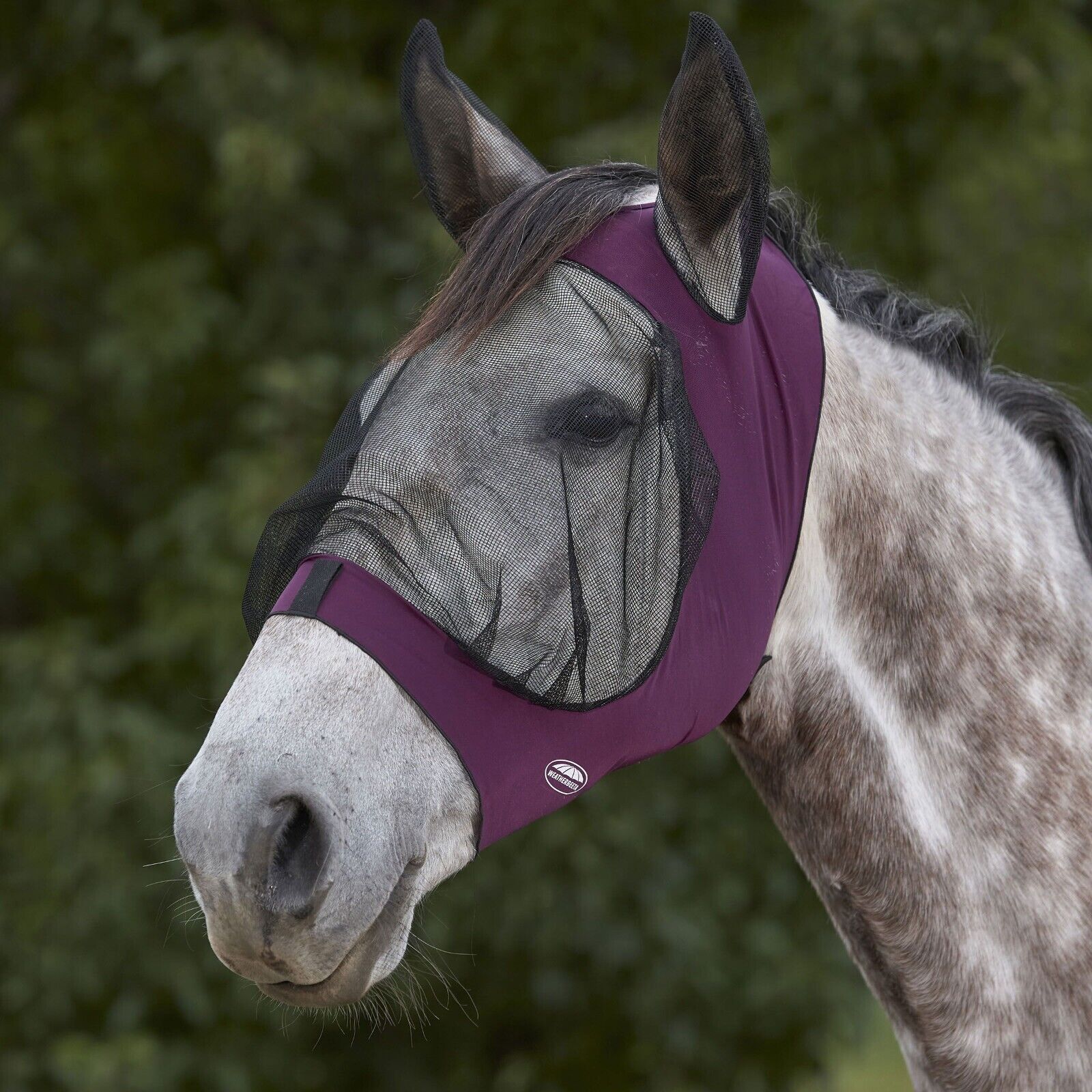Picture of WeatherBeeta Deluxe Stretch Eye Saver Fly Mask, with Ears, UV, 7 Colours