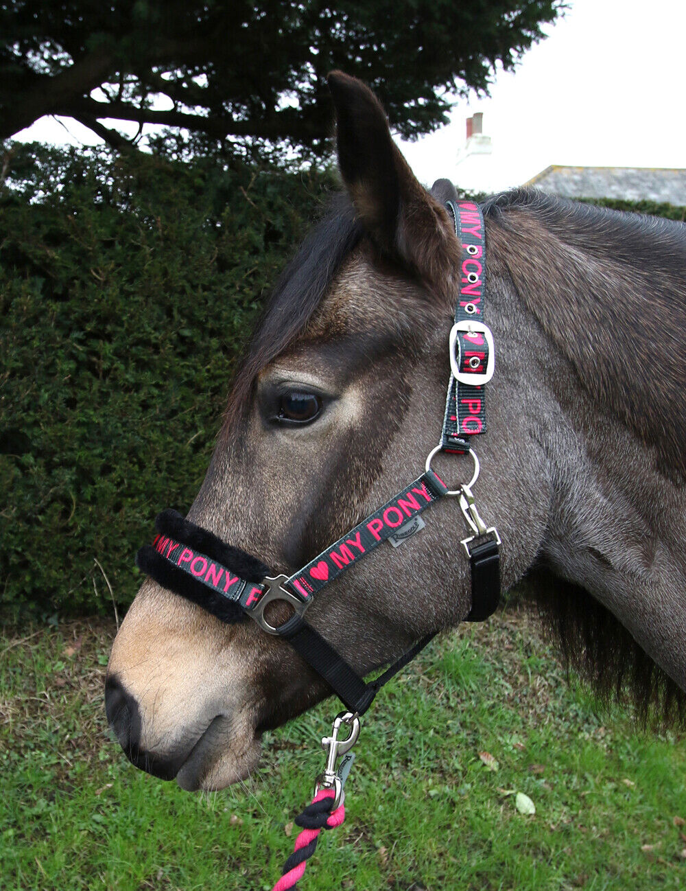 Picture of Rhinegold Love My Pony Headcollar & Lead Rope Set | 7 Colours | 4 Sizes