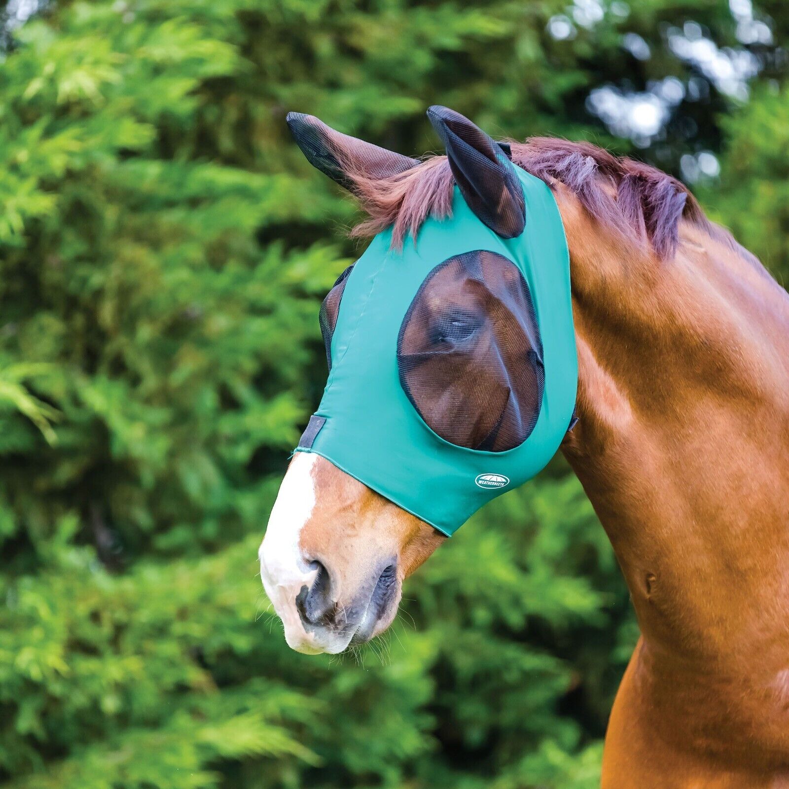 Picture of WeatherBeeta Deluxe Stretch Bug Eye Saver Fly Mask, with Ears, UV, 10 Colours