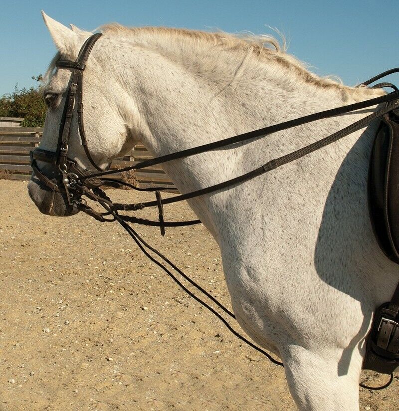 Picture of Rhinegold Leather Draw Reins With Rope Insert  | Black or Brown.