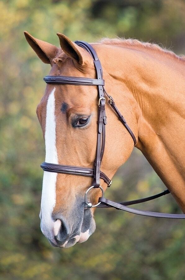Picture of Shires Salisbury Fairford Horse / Pony Snaffle Bridle |  Black or Aus Nut