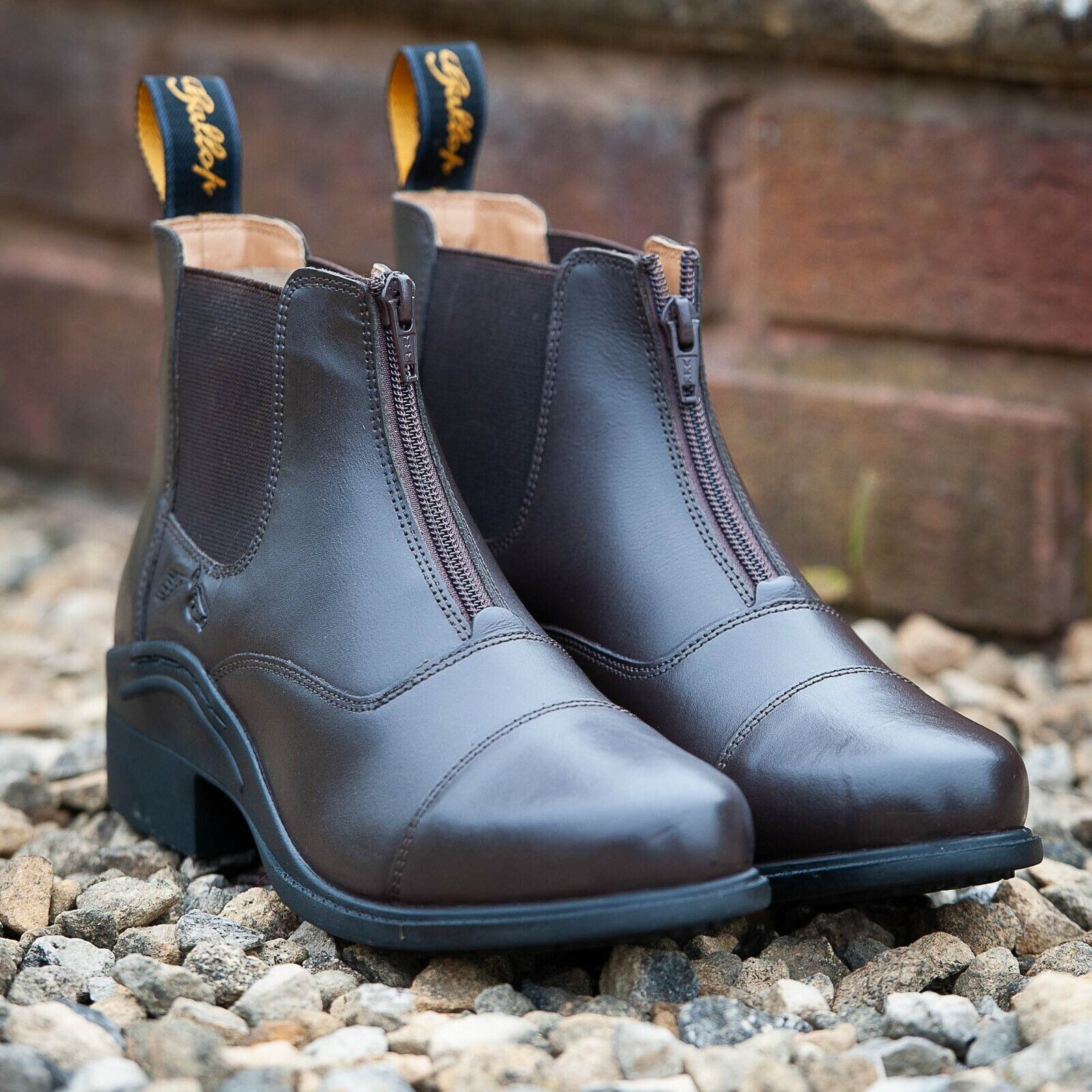 Picture of Gallop Elegence Leather Paddock Boots Horse Riding Short Boots, Black or Brown