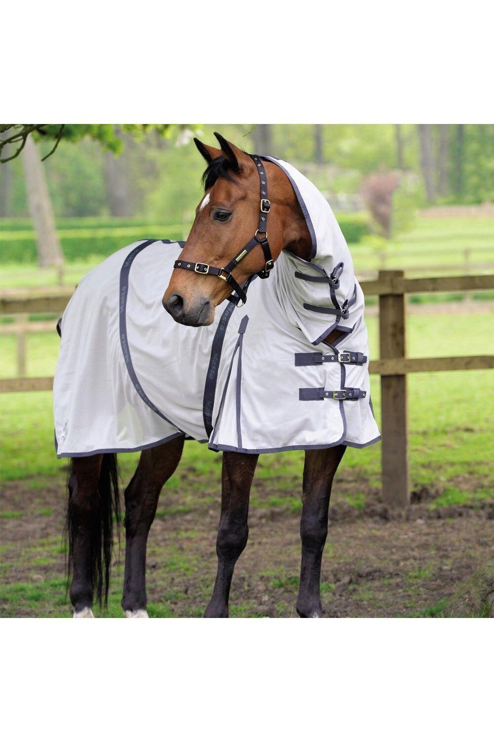 Picture of Masta Zing Summer Lightweight Mesh Fly Horse Rug With Fixed Neck