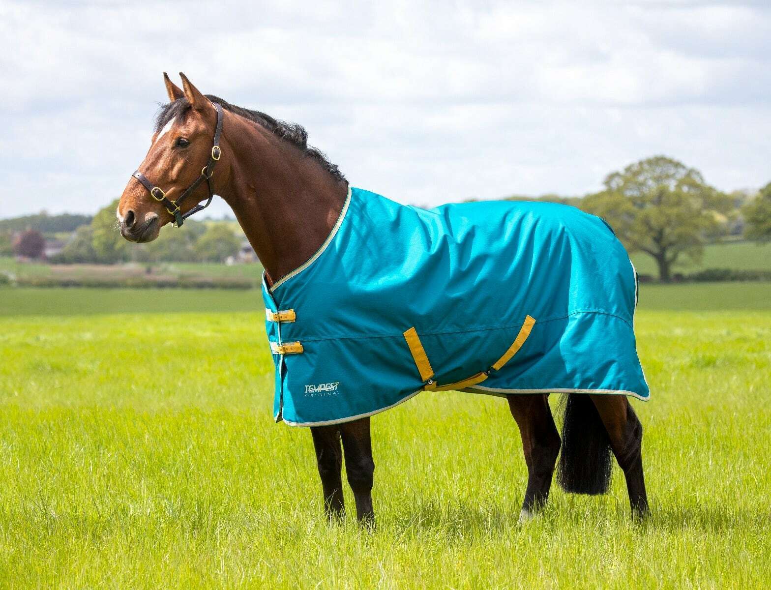 Picture of Shires Tempest Original 50g Horse Turnout Rug, 600 Denier, Lightweight, Outdoor
