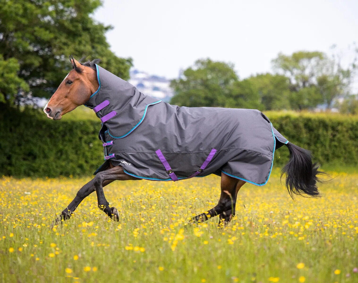 Picture of Shires Tempest Original 300g Horse Turnout Rug & Neck Set | Black | 4'0"-7'3"