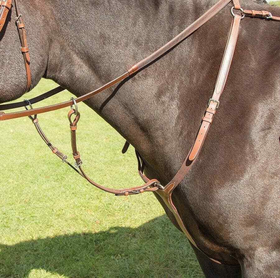 Picture of Shires Avignon Leather Breastplate | 3 Colours