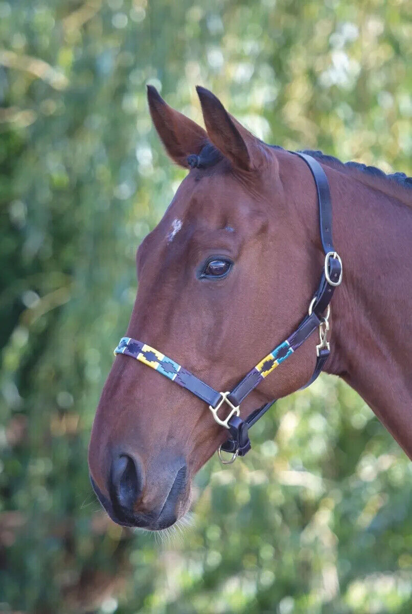 Picture of Shires Velociti Gara Leather Polo Headcollar | Adjustable | 4 Colours | 3 Sizes