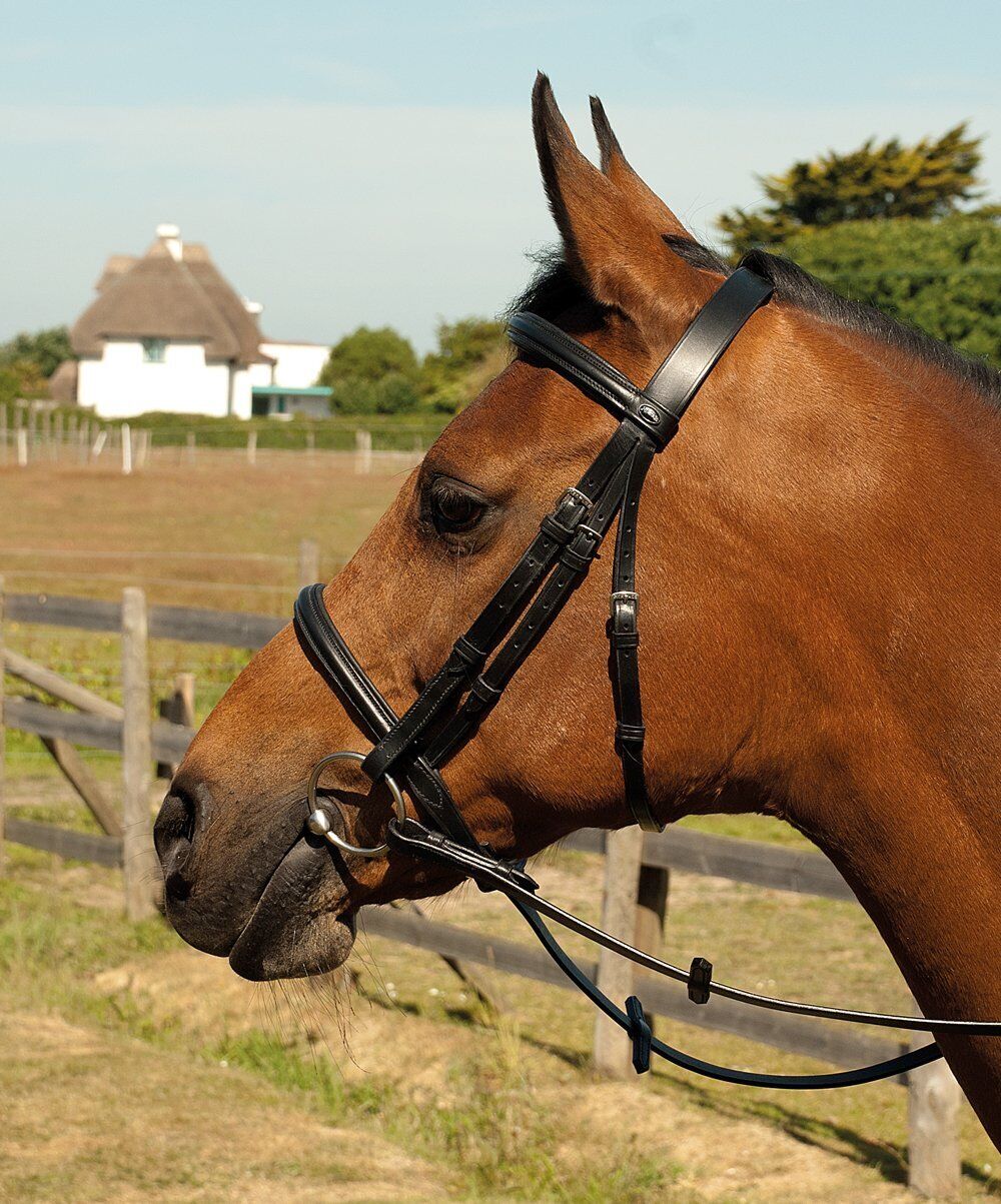 Picture of Heritage English Leather Snaffle Bridle   All Sizes