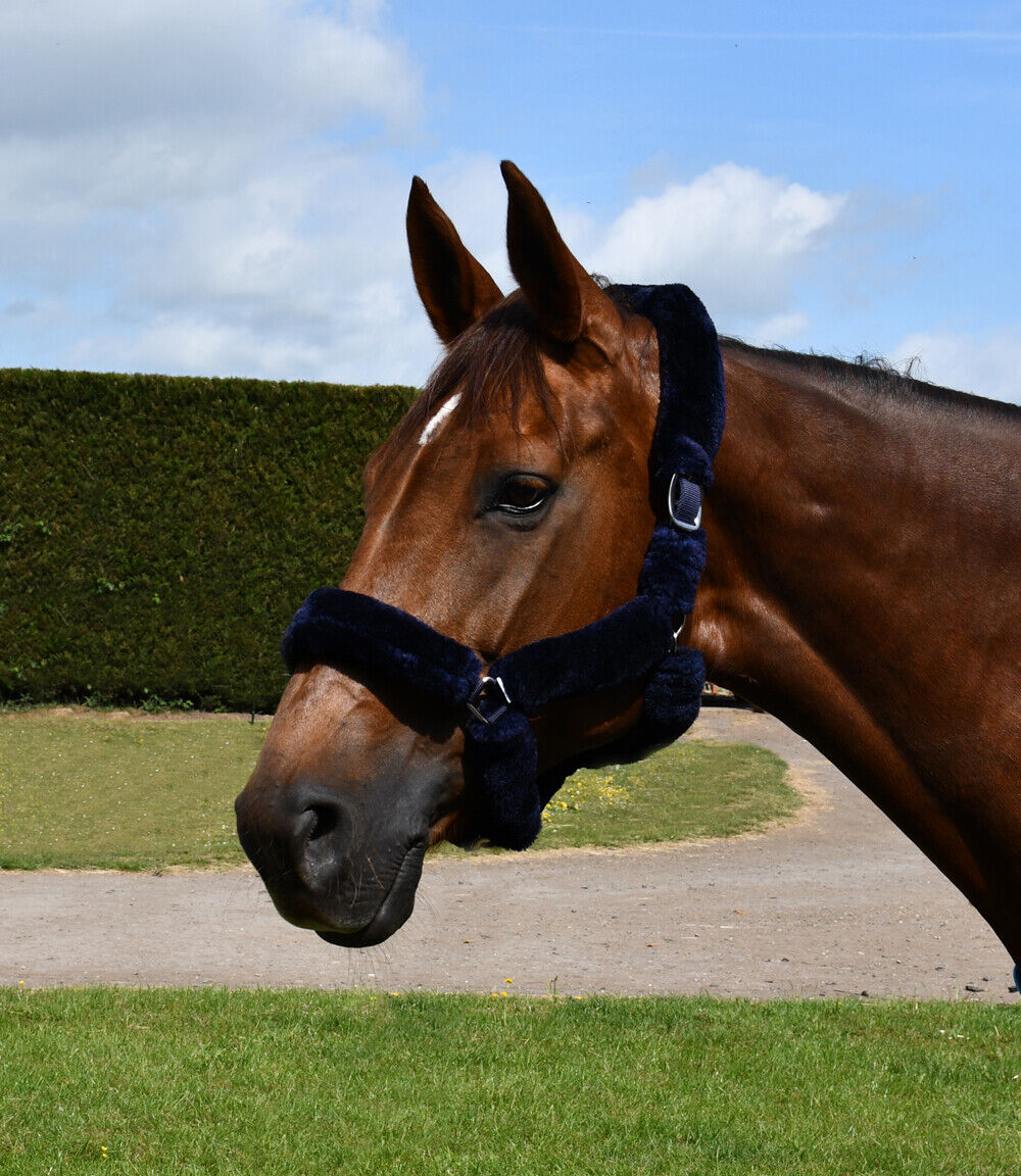 Picture of Rhinegold Fur Trim Horse/Pony Headcollar | 3 Colours | 4 Sizes