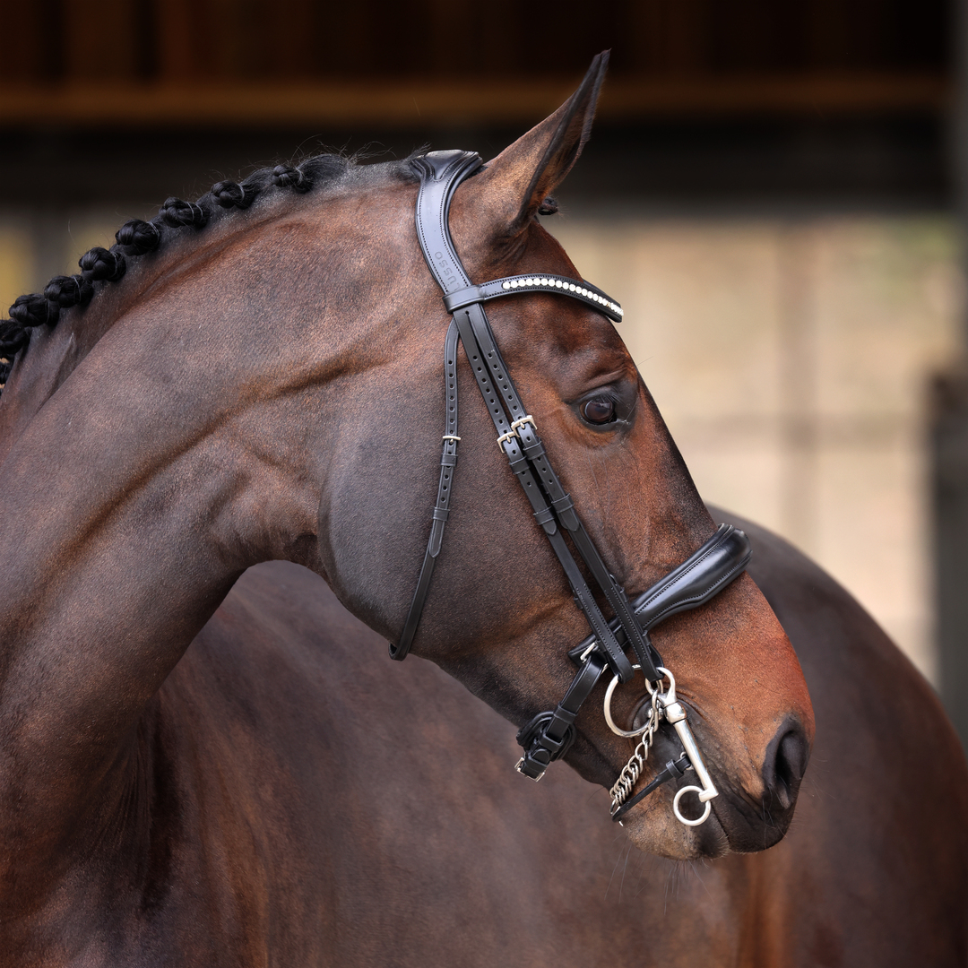 Picture of Bridle, Shires Velociti Lusso Double Bridle, Black, 3 Sizes