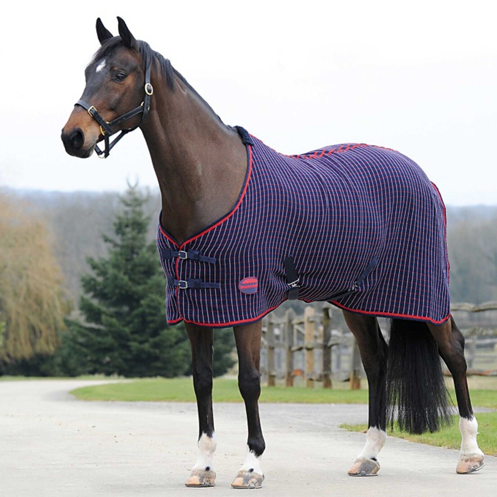 Picture of Weatherbeeta Waffle Horse Cooler / Travel Rug, Std Neck