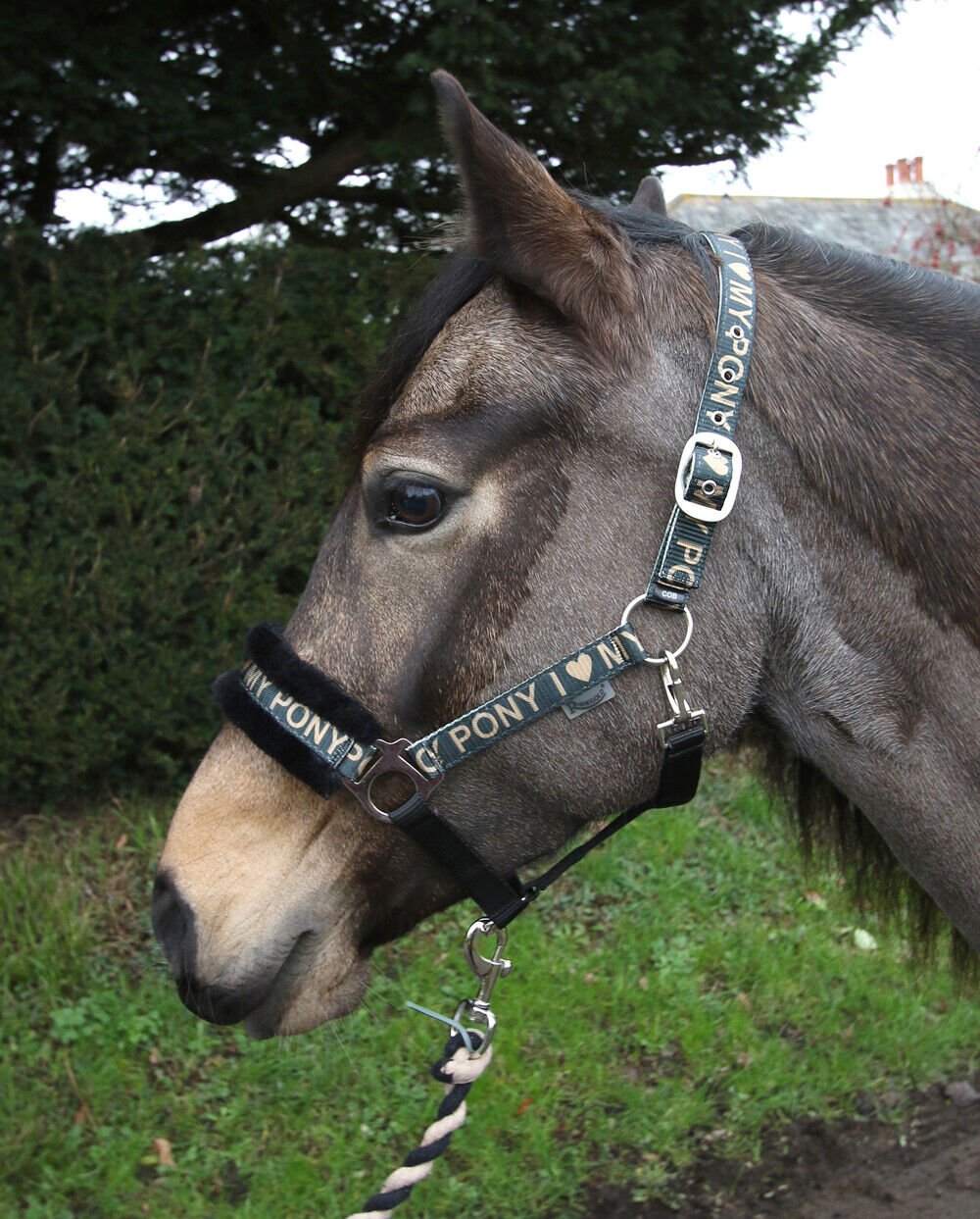 Picture of Rhinegold Love My Pony Headcollar & Lead Rope Set | 7 Colours | 4 Sizes