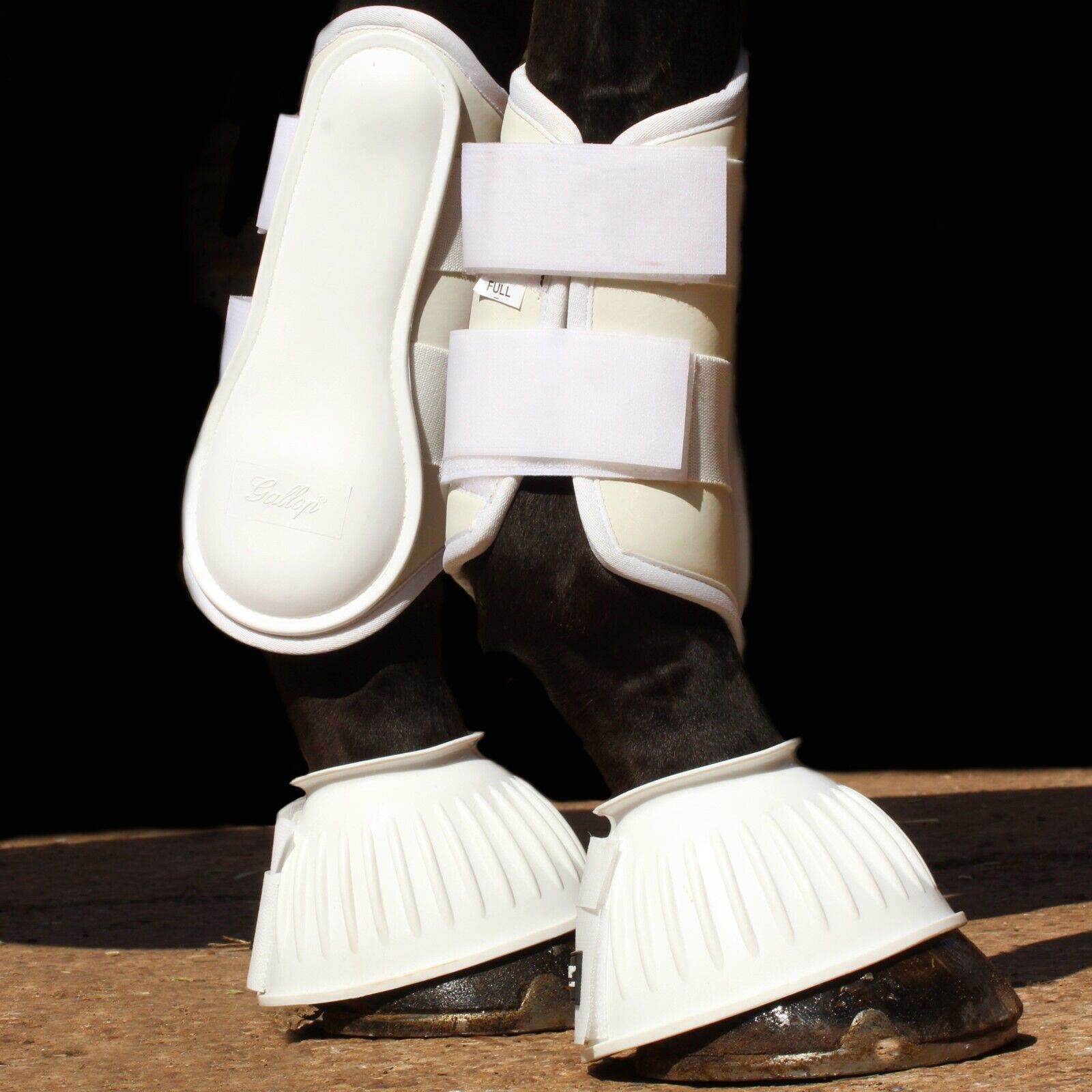 Picture of Gallop Horse Brushing Boots | 7 Colours | Pony, Cob, Full, Clearance