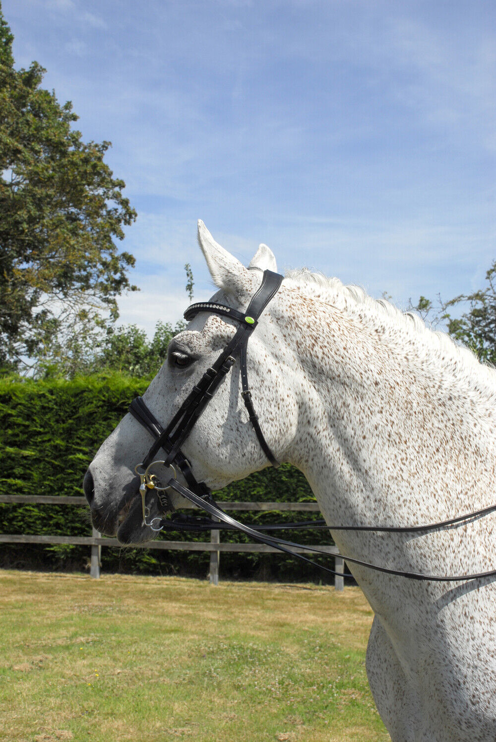 Picture of Rhinegold Italian Leather Anatomical Double Bridle With Crank Style Noseband
