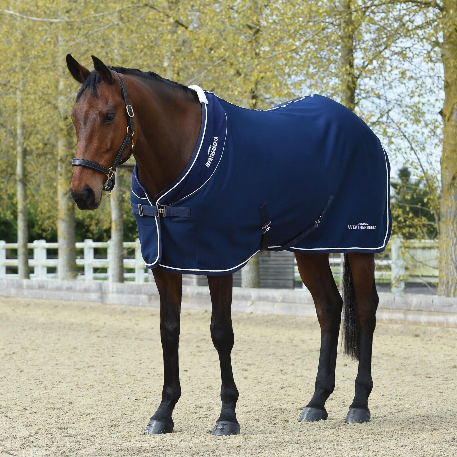 Picture of Weatherbeeta Opulence Show Sheet / Travel Rug, Std Neck.