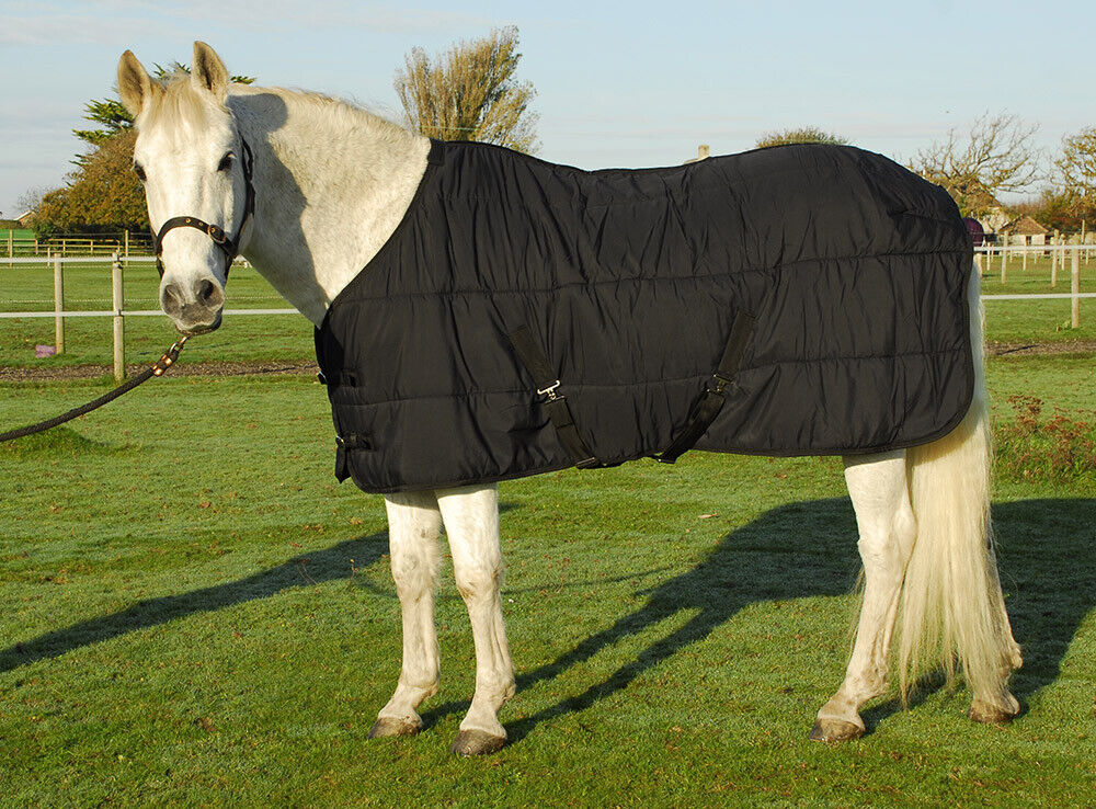 Picture of Windsor Classic 200g Horse Stable Rug, or Quilt Under Rug In Black