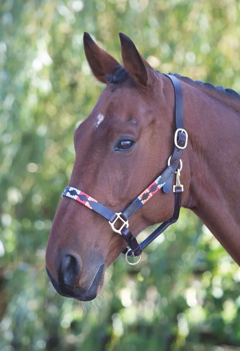 Picture of Shires Velociti Gara Leather Polo Headcollar | Adjustable | 4 Colours | 3 Sizes
