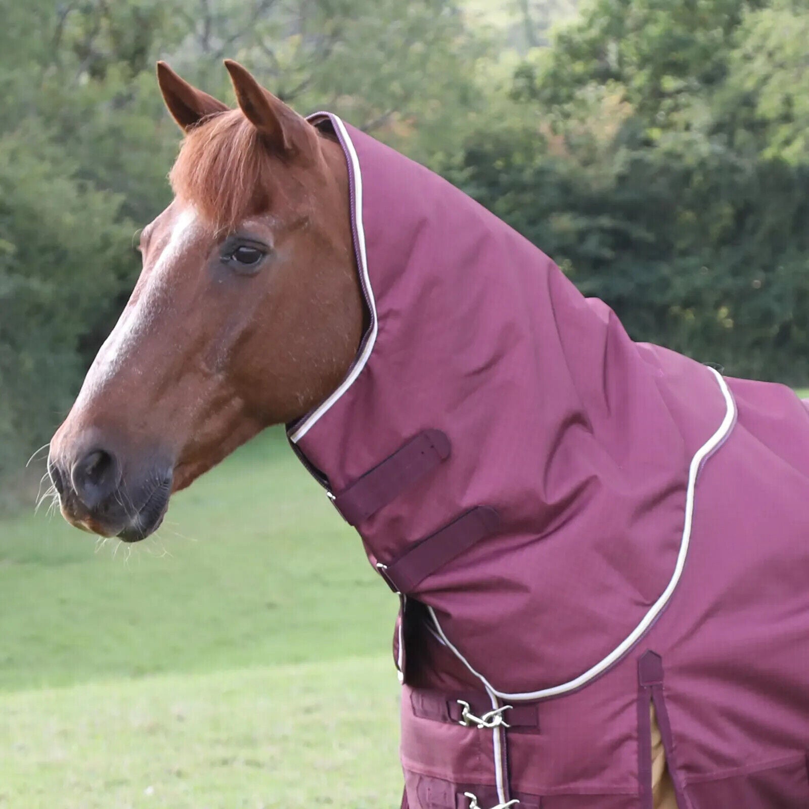 Picture of Shires Highlander Plus 100g Turnout Neck Cover, Lightweight