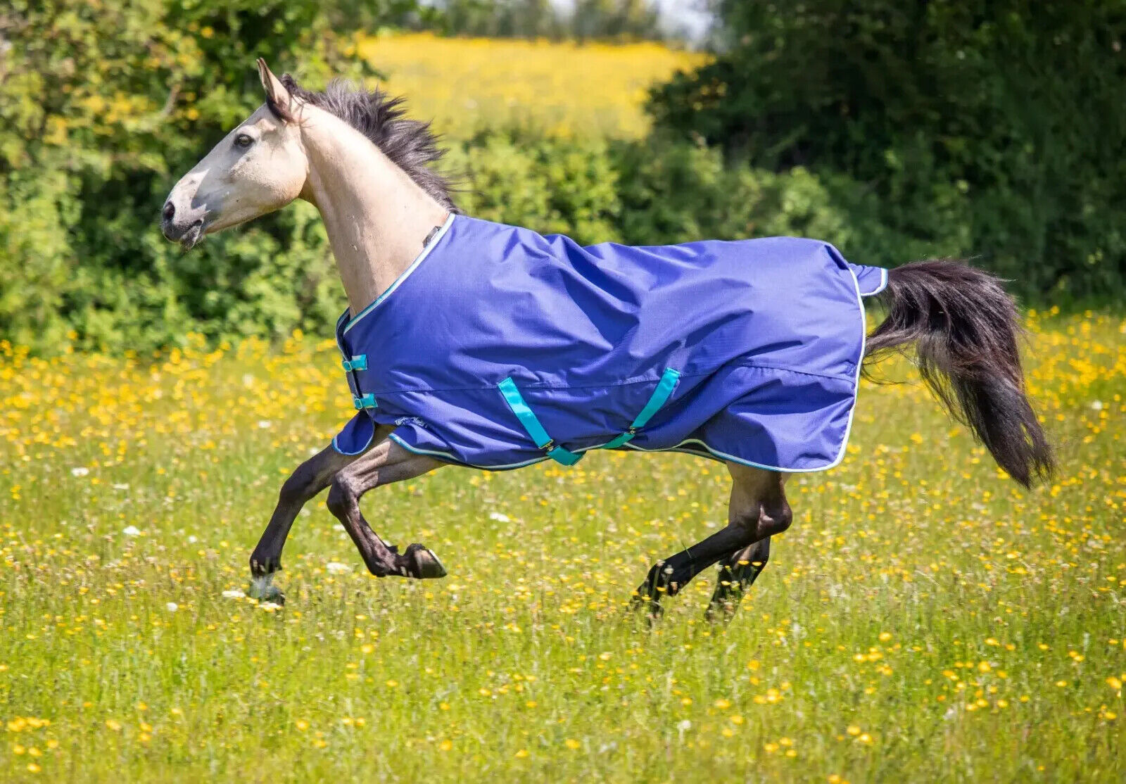 Picture of Shires Tempest Original 100g Rug Horse Turnout Standard Neck |Pink Tie Dye, Navy