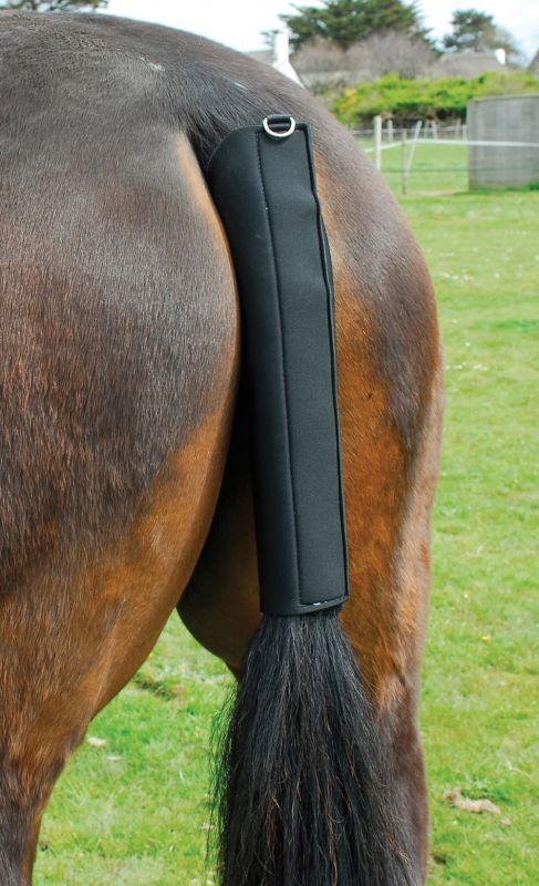 Picture of Rhinegold Neoprene Tail Guard Protector | Black, Blue or Red | Onesize