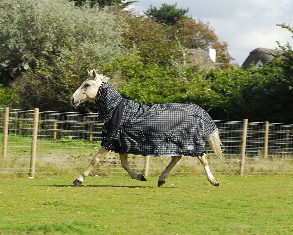 Picture of Rhinegold Montpelier Full Neck Combo 100g Horse Turnout Rug 600d