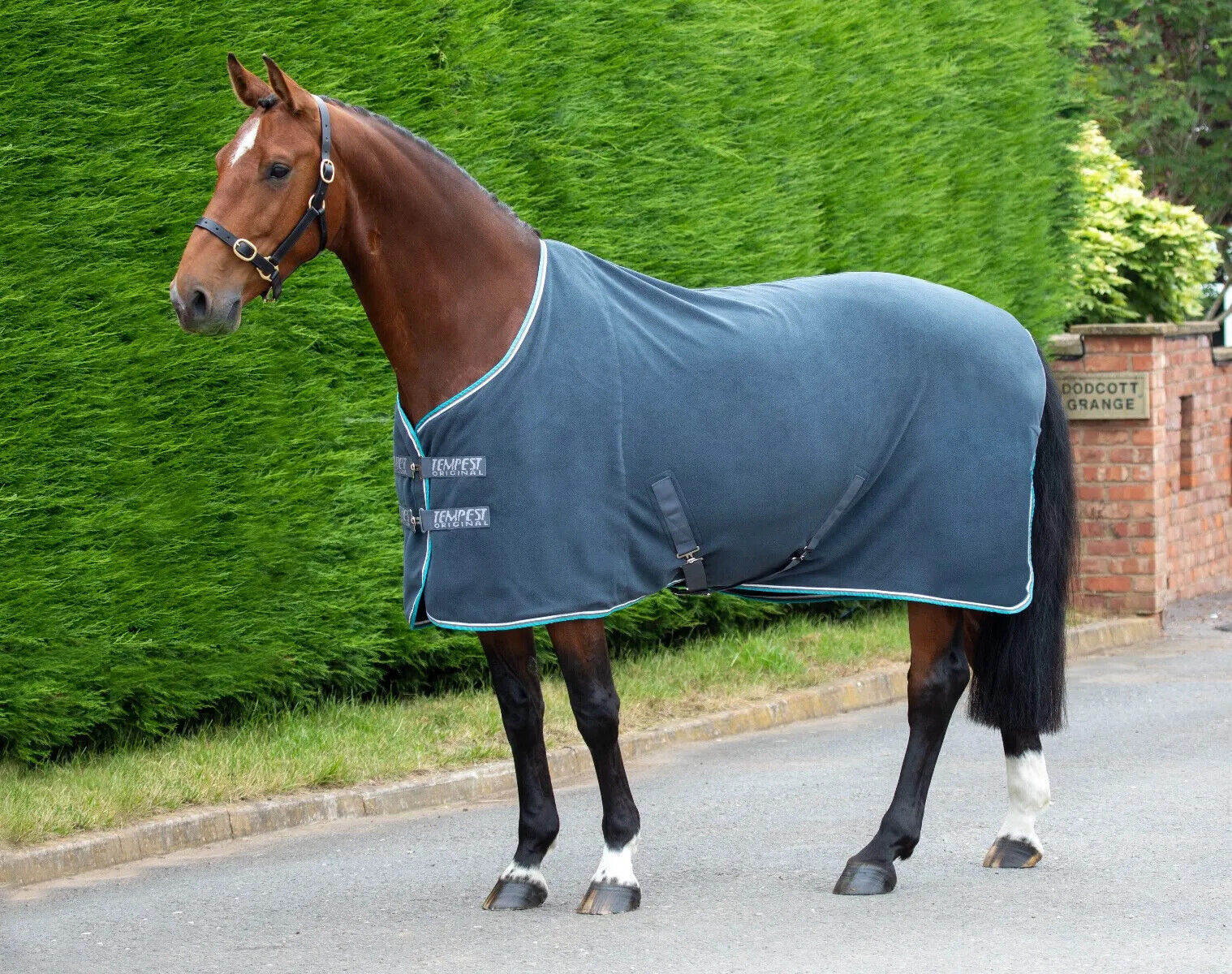 Picture of Shires Tempest Original Fleece Horse Pony Rug, 5 Colours, 4'6"- 7'0"