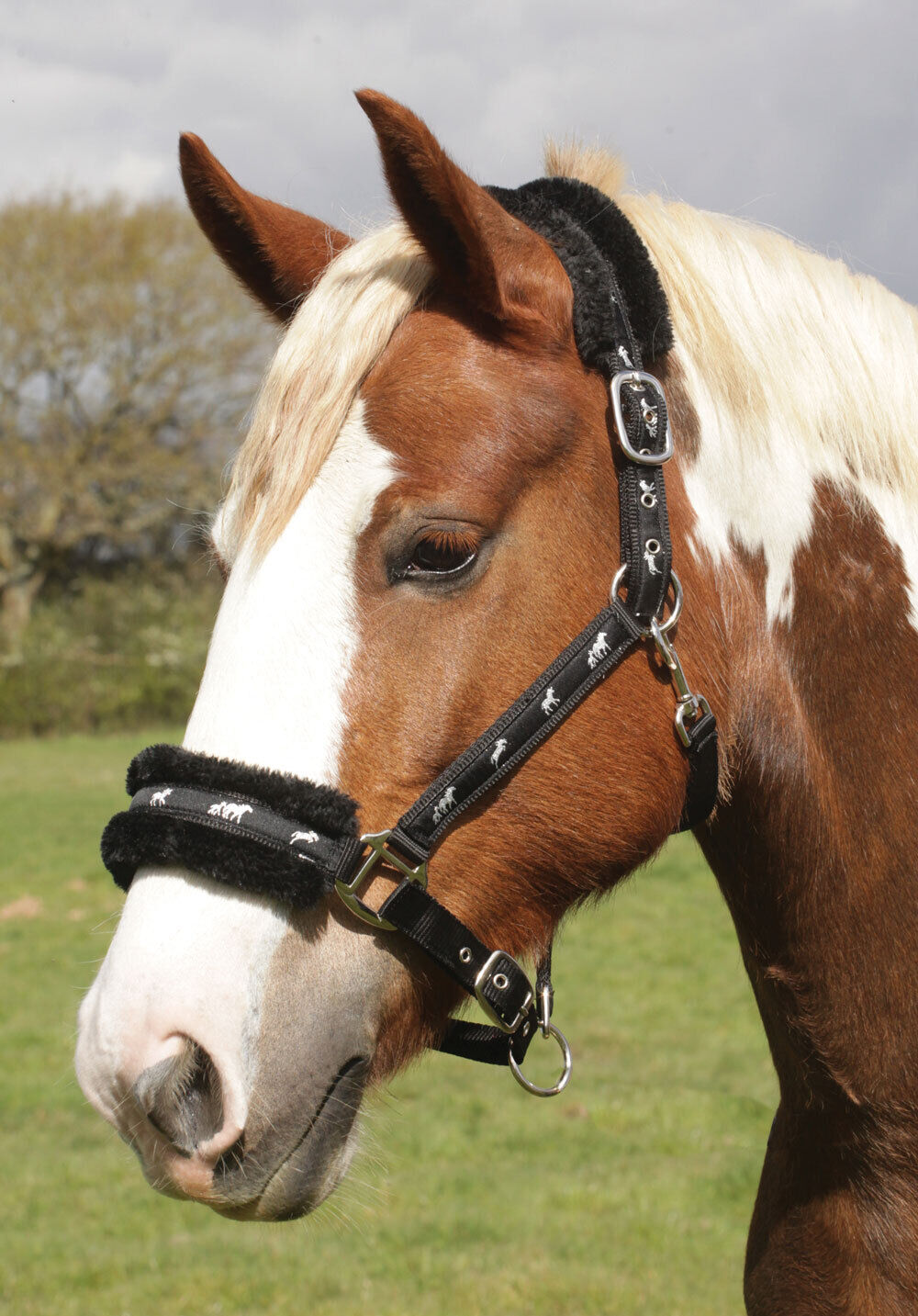 Picture of Rhinegold Logo Headcollar Fleece Trim | 3 Colours | 4 Sizes | Adjustable