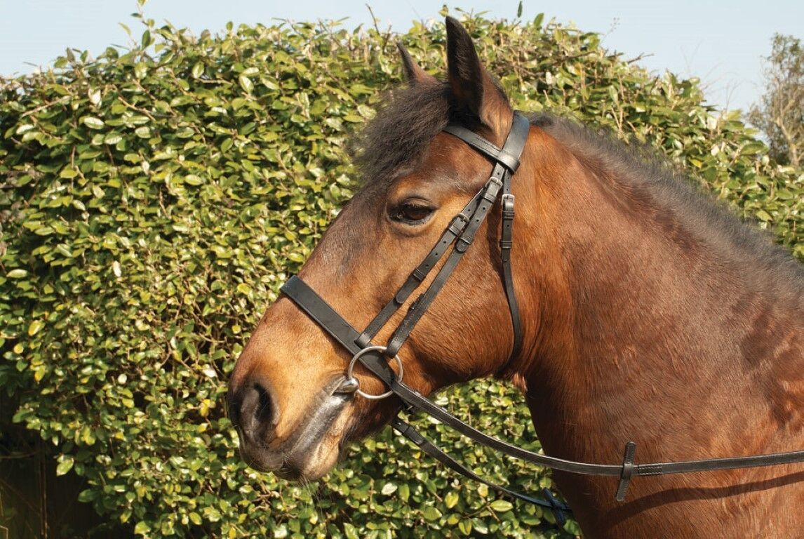 Picture of Windsor leather hunter horse pony snaffle bridle + rubber reins