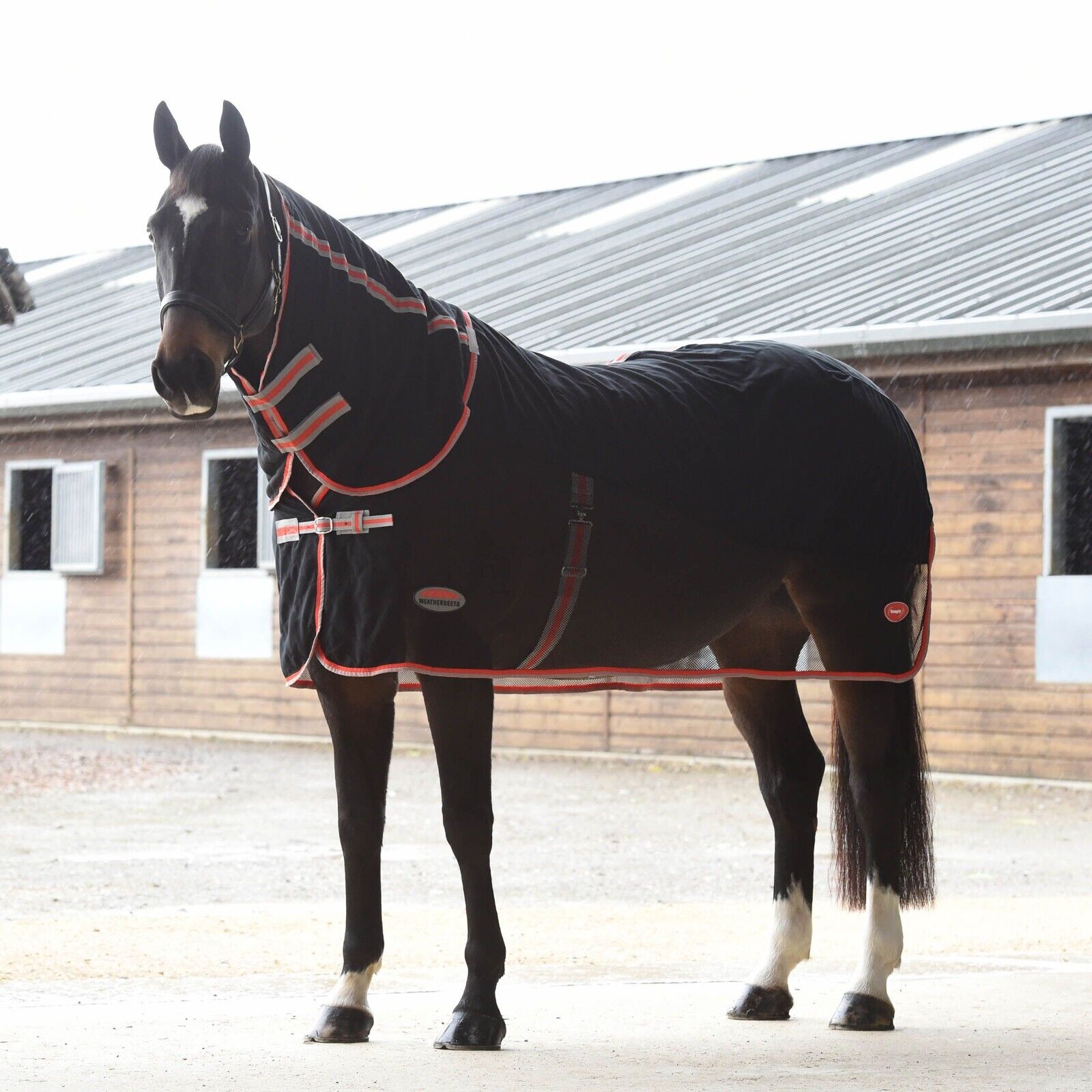 Picture of Weatherbeeta Therapy-Tec Wick Dri Cooler / Travel Rug, Combo Full Neck