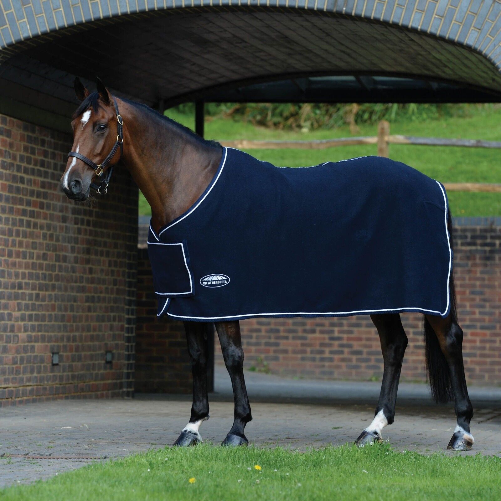 Picture of Weatherbeeta Wool Show Sheet/ Travel Rug, With Chest Panel, Std Neck