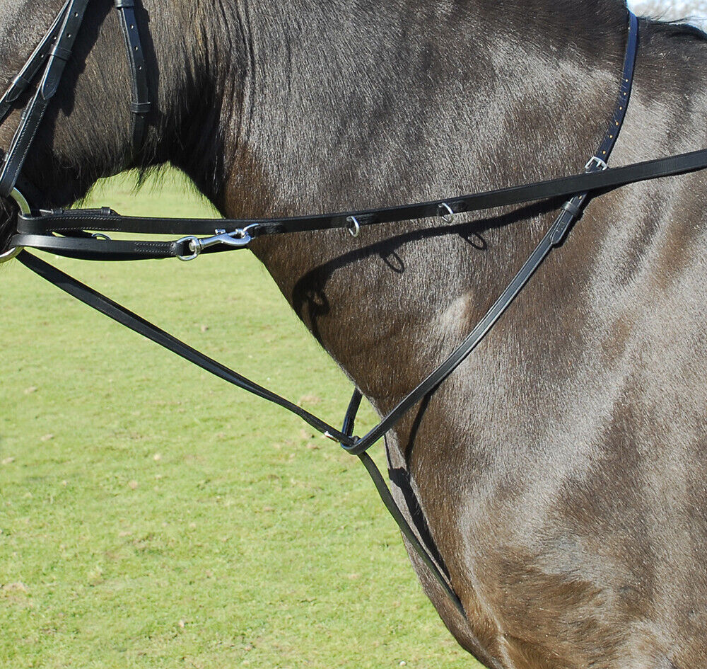 Picture of Windsor Leather Market Harborough with Reins | Black or Havana | 2 Sizes