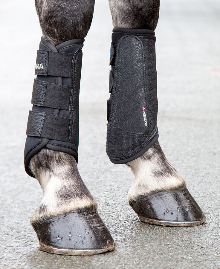 Picture of Shires Arma Brushing Boots, Black, Horse Boots, High Impact, Lightweight