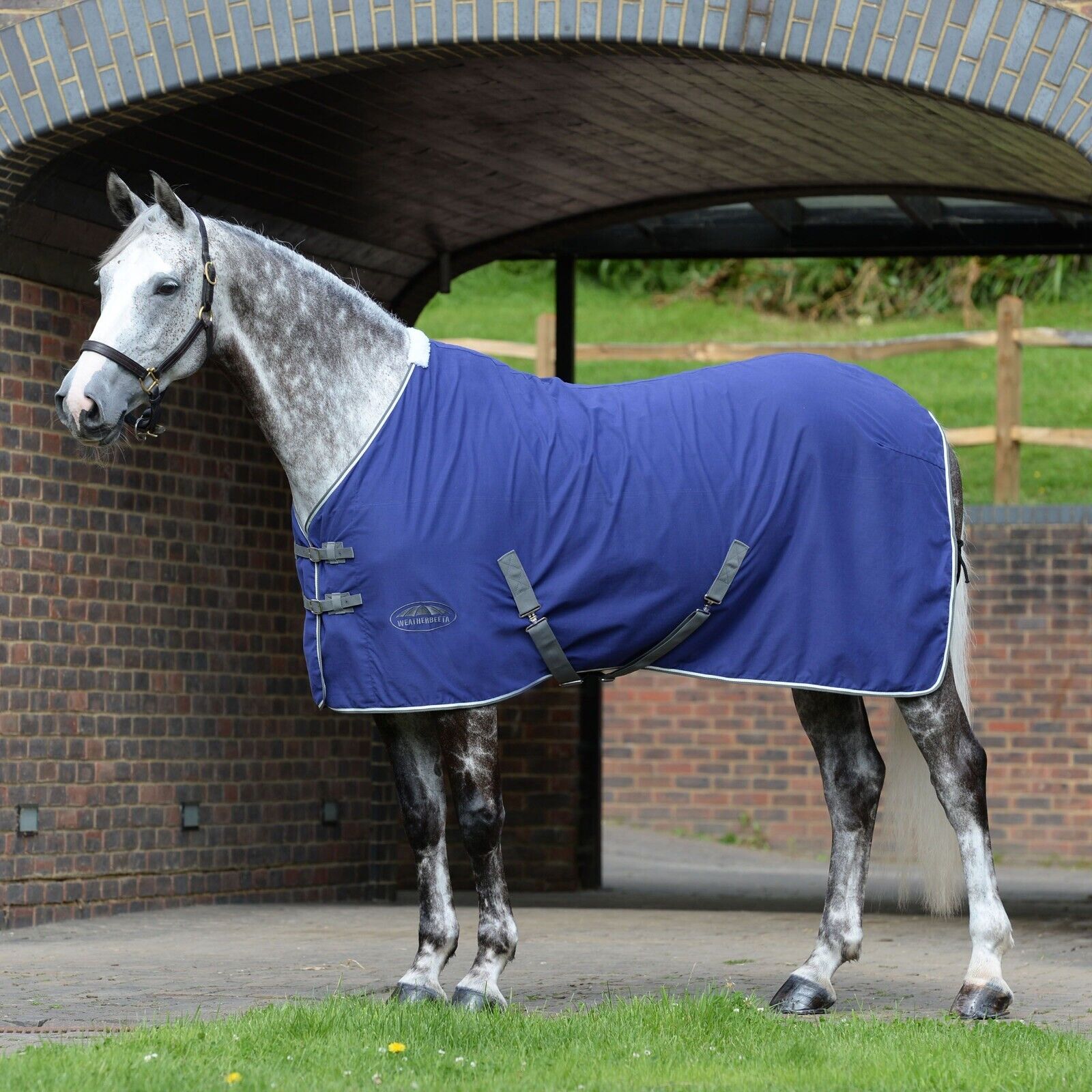 Picture of Weatherbeeta  Cotton Show Sheet / Travel Rug, With Surcingles II , Std Neck