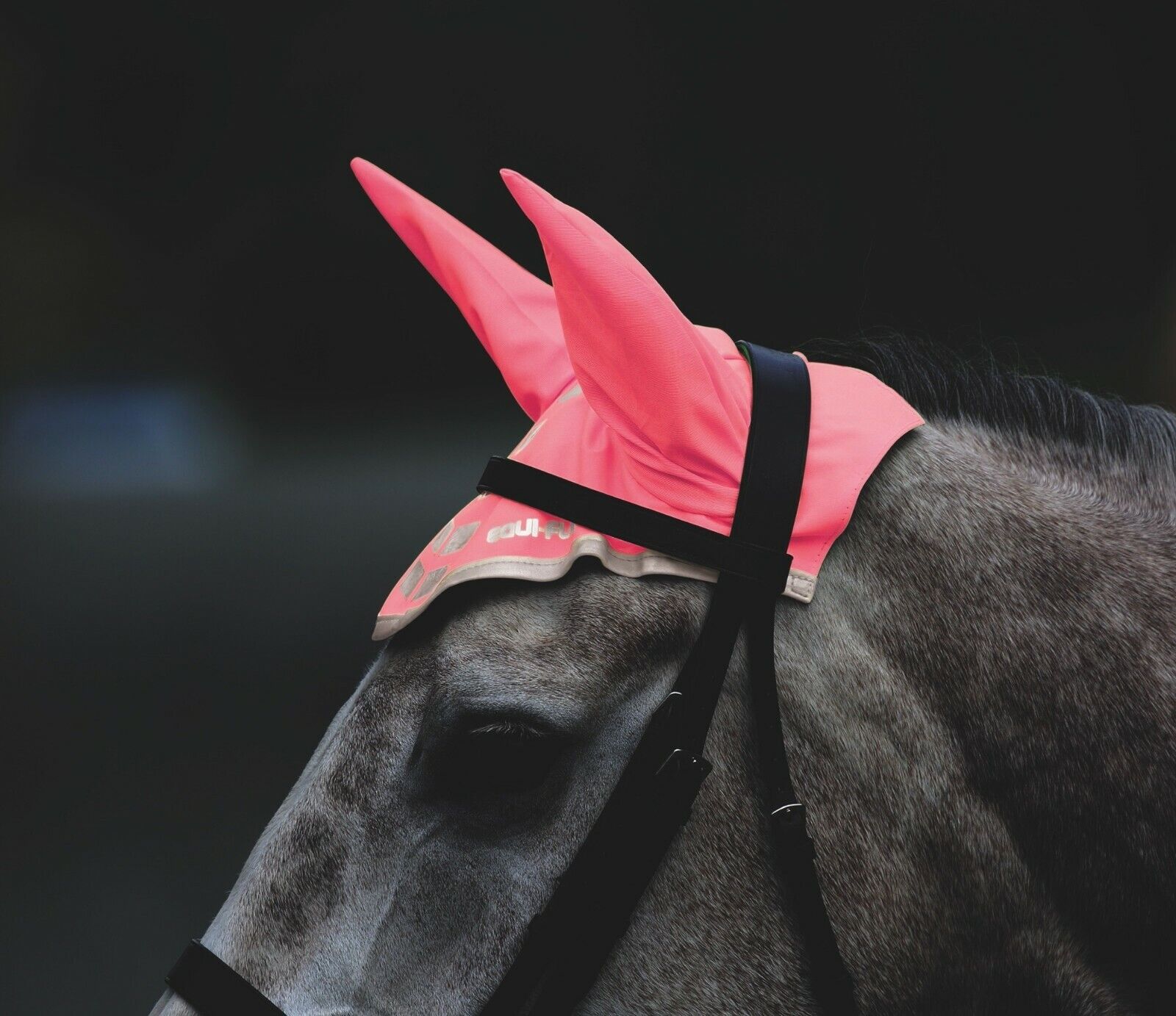 Picture of Shires Equi-Flector Horse/Pony Fly Veil in Reflective | Pink/Orange/Yellow