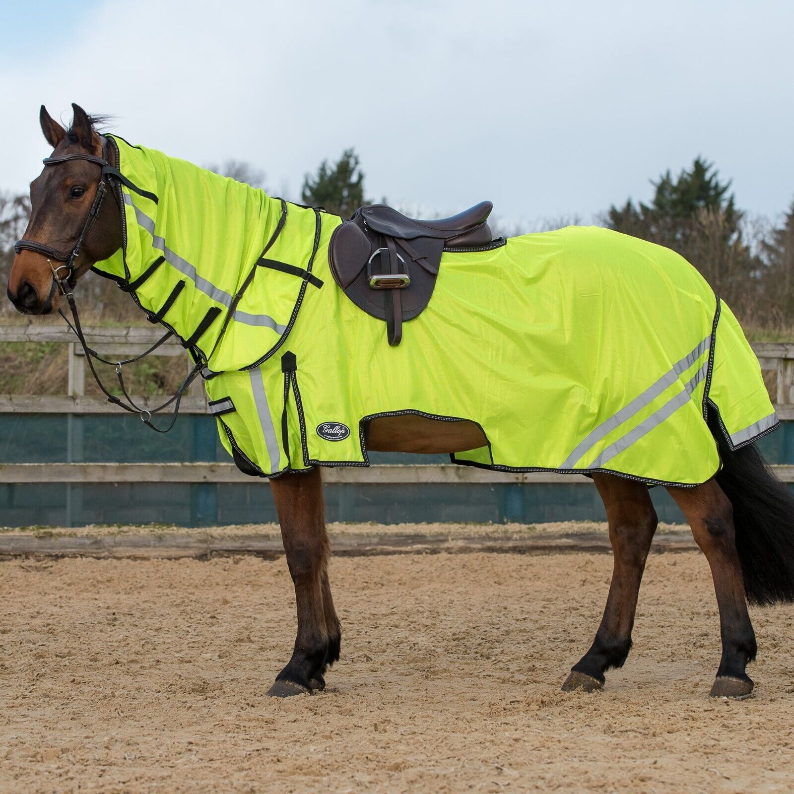 Picture of Gallop Fly Mesh Rug / High Visibility Ride-On with Neck Set. / 5'6" - 7'0"