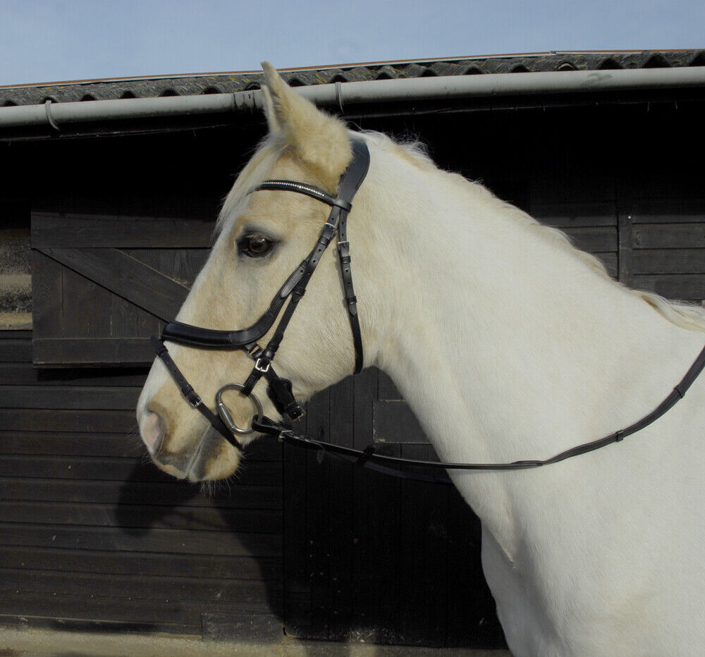 Picture of Heritage Anatomical Bridle with Flash Noseband | Black or Havana | 4 Sizes