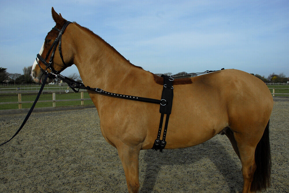 Picture of Rhinegold Horse Training and Breaking Roller/Side Rein Set | Black | 3 Sizes