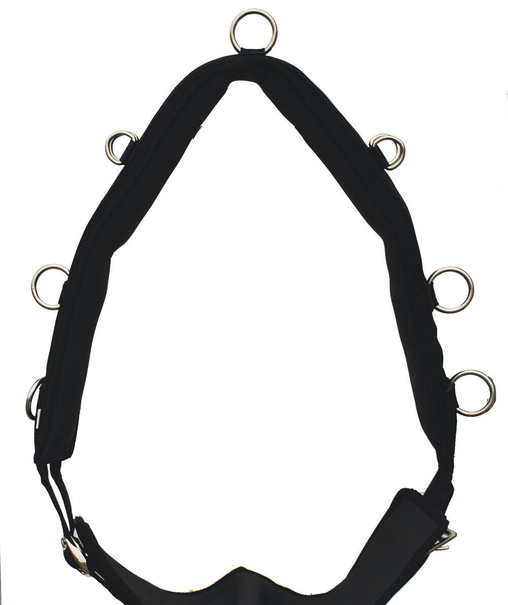 Picture of Rhinegold Nylon Lunging Roller | Padded |11 D Rings | Dual Adjustment | 3 Sizes.