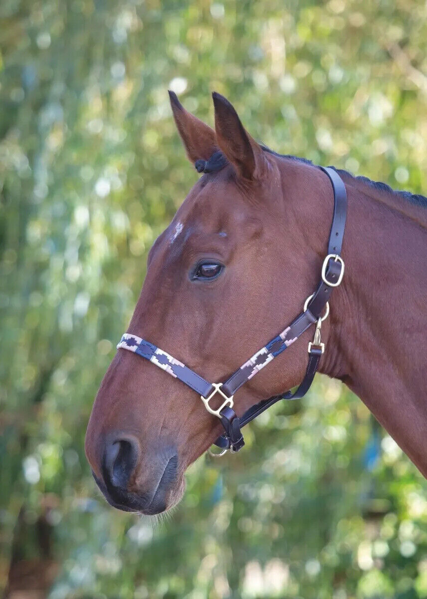 Picture of Shires Velociti Gara Leather Polo Headcollar | Adjustable | 4 Colours | 3 Sizes