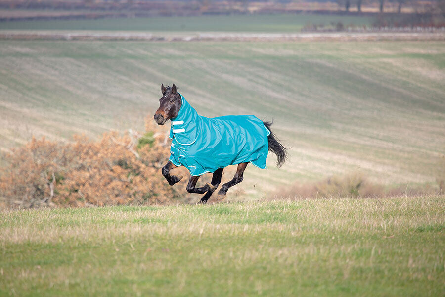 Picture of Shires Tempest Plus 200G Horse Turnout Rug Full Neck Combo | 1200 Denier | Teal