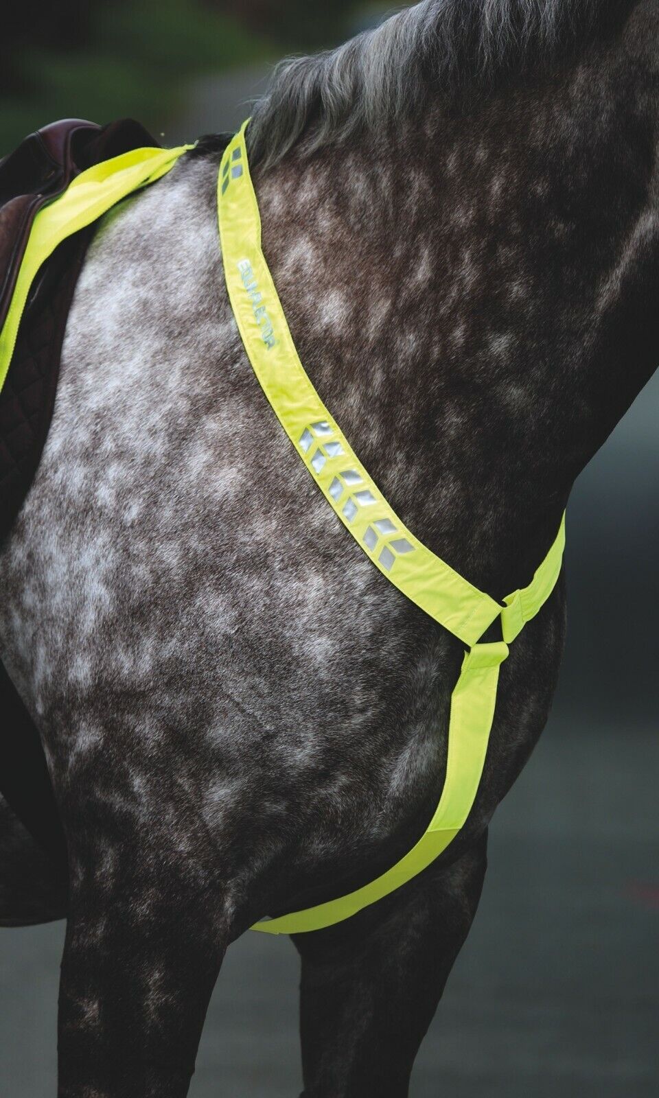 Picture of Shires Equi-Flector Horse/Pony Breastplate in Reflective | Pink/Orange/Yellow