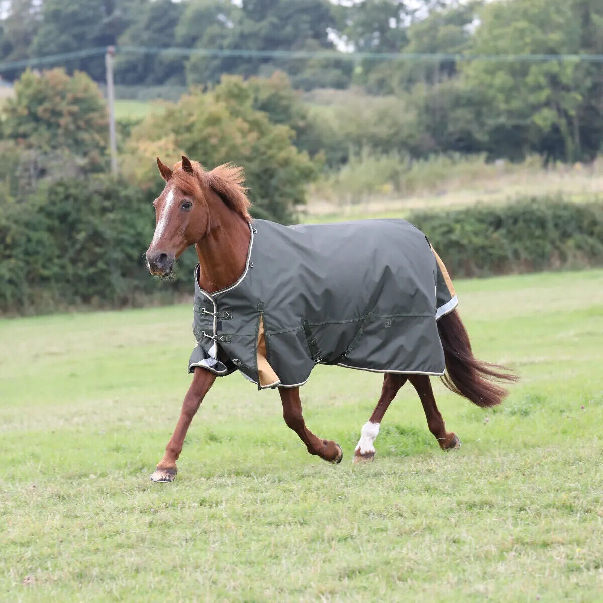 Picture of Shires Highlander Plus 50g Lightweight Turnout Rug Horse Pony, 5'0"-7'3"