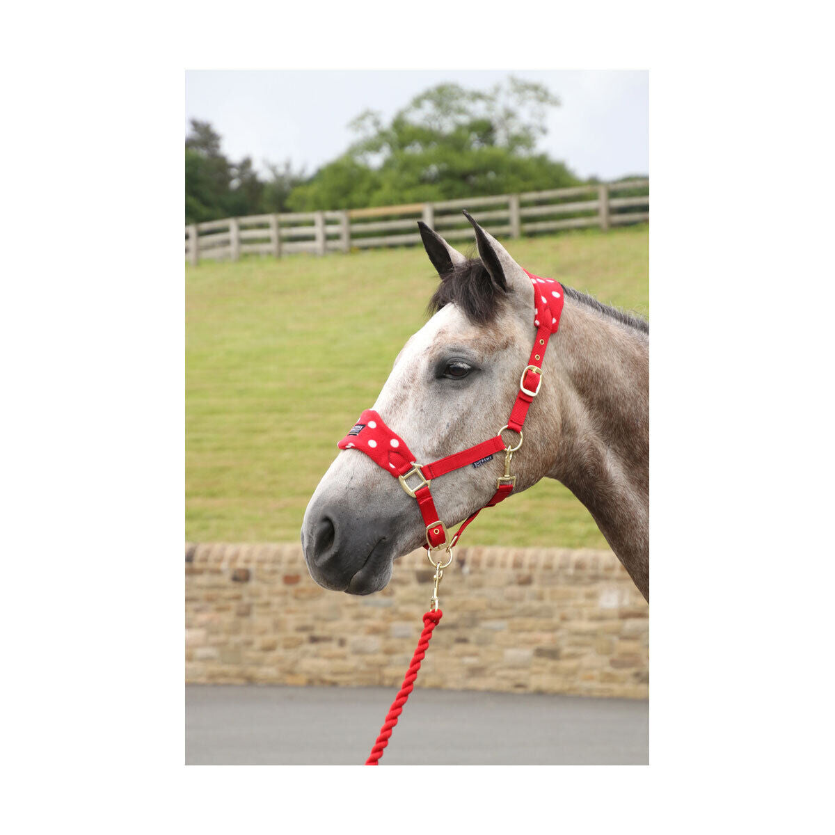 Picture of Supreme Products Dotty Fleece Head Collar & Lead Rope | 4 Colours | 4 Sizes