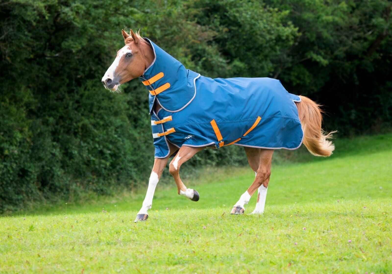 Picture of Shires Tempest Original 0G Lite Horse/Pony Turnout Rug and Neck Set  | Teal