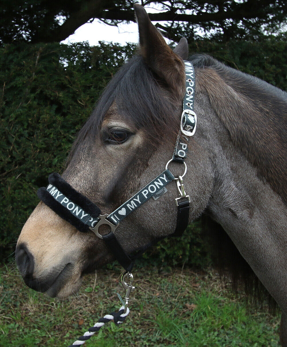 Picture of Rhinegold Love My Pony Headcollar & Lead Rope Set | 7 Colours | 4 Sizes