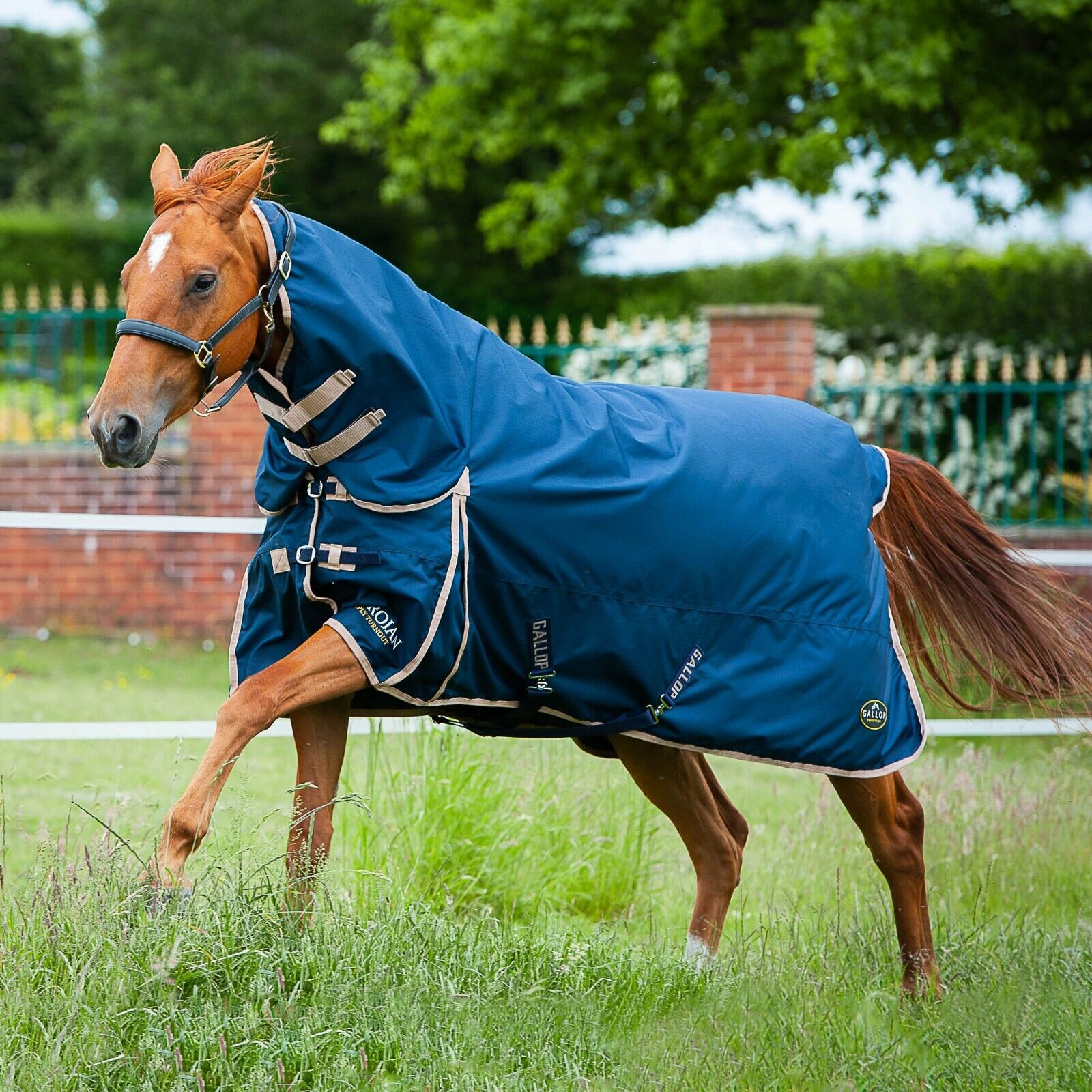 Picture of Gallop Trojan 100G Horse Turnout Rug Full Neck Combo 600 Denier  Navy/Beige