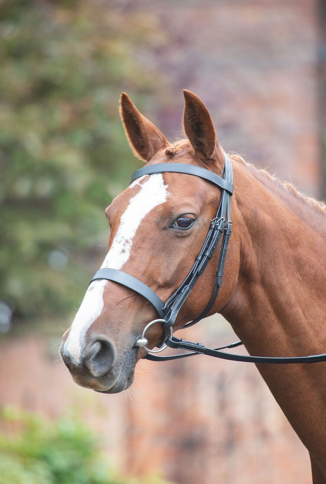 Picture of Shires Avignon Hunter Cavesson Leather Horse / Pony Bridle | 3 Colours